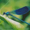 Blue Dragonfly Diamond Painting