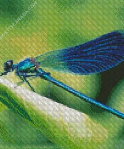 Blue Dragonfly Diamond Painting