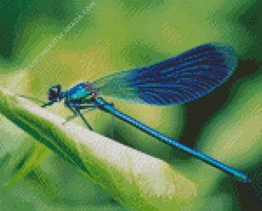 Blue Dragonfly Diamond Painting