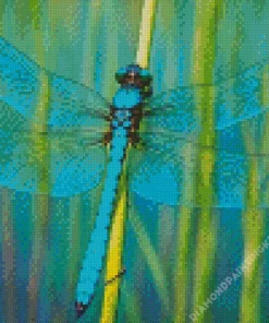 Blue Dragonfly Insect Diamond Painting