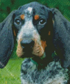 Blue English Coonhound Dog Diamond Painting