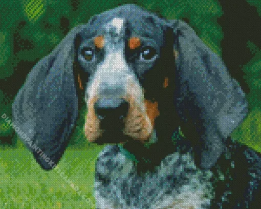 Blue English Coonhound Dog Diamond Painting