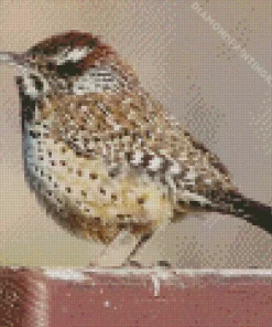 Cactus Wren Diamond Painting