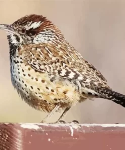 Cactus Wren Diamond Painting