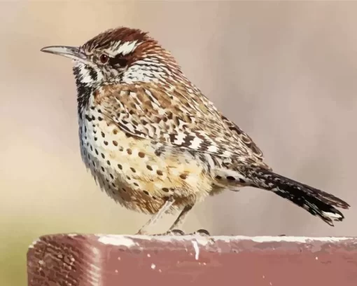 Cactus Wren Diamond Painting