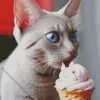 Cat Eating Ice Cream Diamond Painting