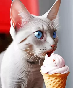 Cat Eating Ice Cream Diamond Painting