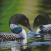 Common Loon Diamond Painting