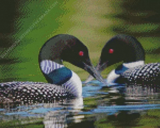 Common Loon Diamond Painting