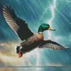 Duck Flying In A Electric Storm Diamond Painting