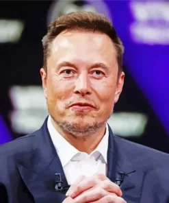 Elon Musk Diamond Painting