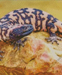 Gila Monster Diamond Painting