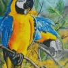 Gold And Yellow Macaws Diamond Painting