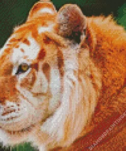 Golden Tiger Diamond Painting