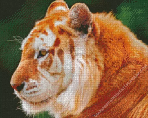 Golden Tiger Diamond Painting