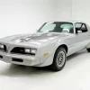 Grey Firebird 78 Diamond Painting