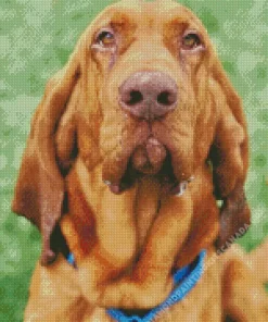 Red Bloodhound Diamond Painting