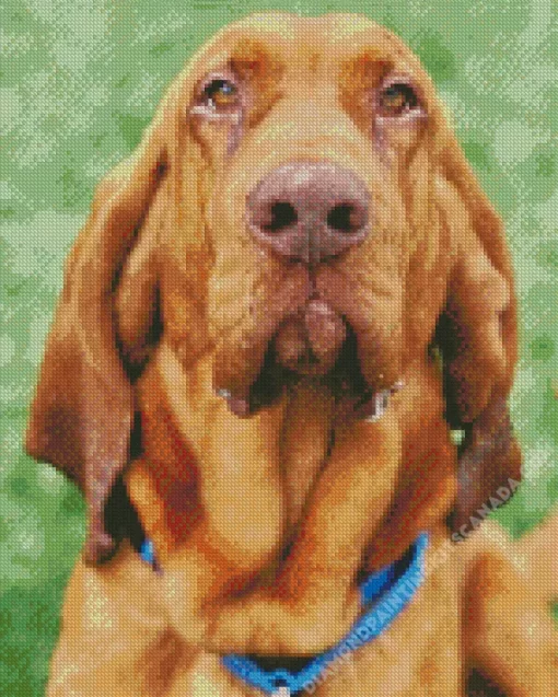 Red Bloodhound Diamond Painting