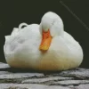 Sleeping Duck Diamond Painting