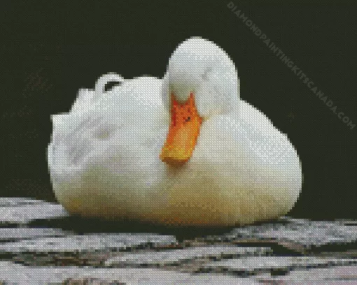 Sleeping Duck Diamond Painting