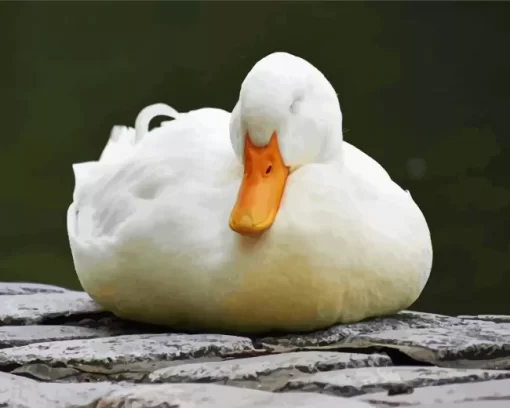 Sleeping Duck Diamond Painting