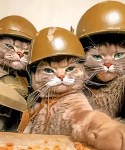 Soldier Cats Selfie Diamond Painting