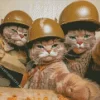 Soldier Cats Selfie Diamond Painting