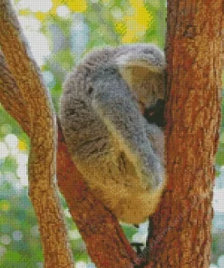 Tired Koala Diamond Painting