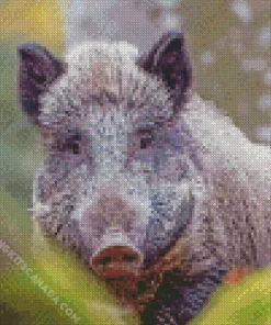 Wild Boar Animal Diamond Painting