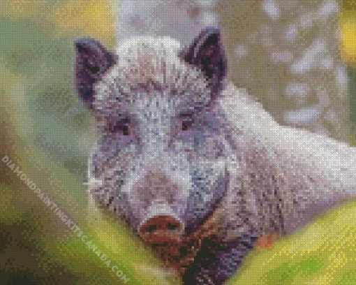 Wild Boar Animal Diamond Painting