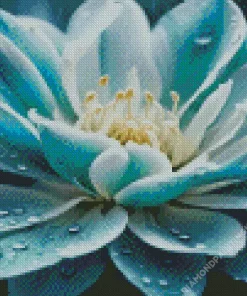 Blooming Blue And White Flower Diamond Painting