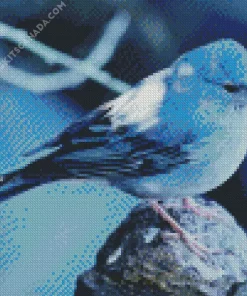 Blue Canary Bird Diamond Painting