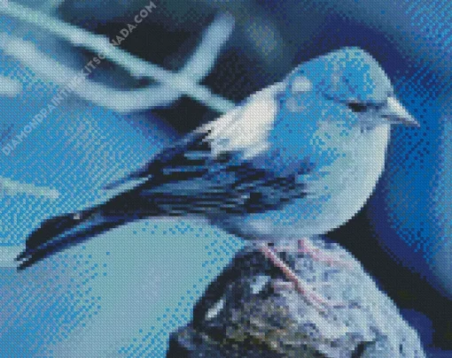 Blue Canary Bird Diamond Painting