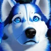 Blue Husky Diamond Painting