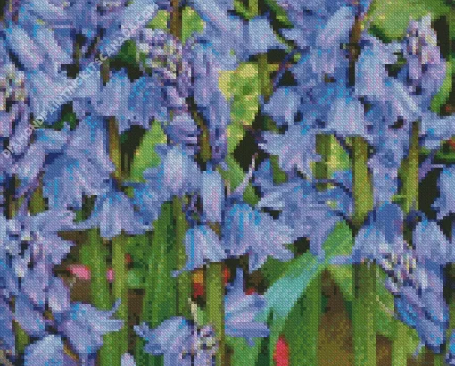 Bluebells Plants Diamond Painting