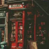 Retro Book Shop Diamond Painting