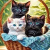 White Cat And Blue Eyed Black Cats Diamond Painting