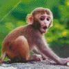 Baby Monkey Diamond Painting