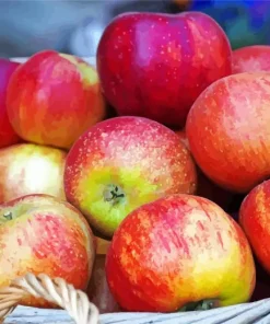 Basket Of Apples Diamond Painting