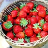 Basket Of Strawberries Diamond Painting