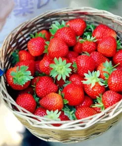 Basket Of Strawberries Diamond Painting