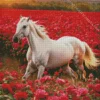 Beautiful White Stallion Diamond Painting