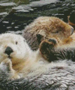 Beaver Holding Hands Diamond Painting