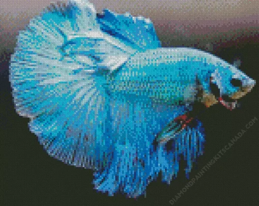 Betta Fish Diamond Painting