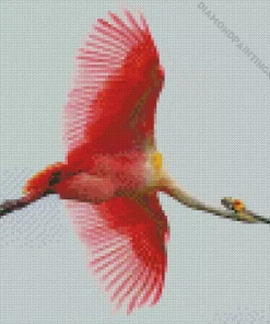 Big Pink Bird Diamond Painting