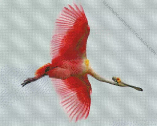 Big Pink Bird Diamond Painting