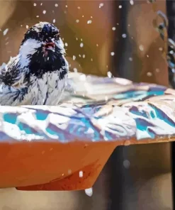 Bird Bath Diamond Painting