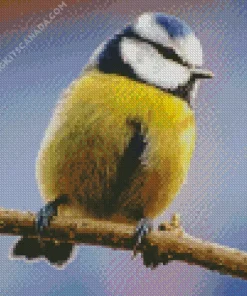 Bird Blue Tit Diamond Painting