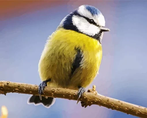 Bird Blue Tit Diamond Painting