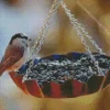 Bird Feeder Diamond Painting